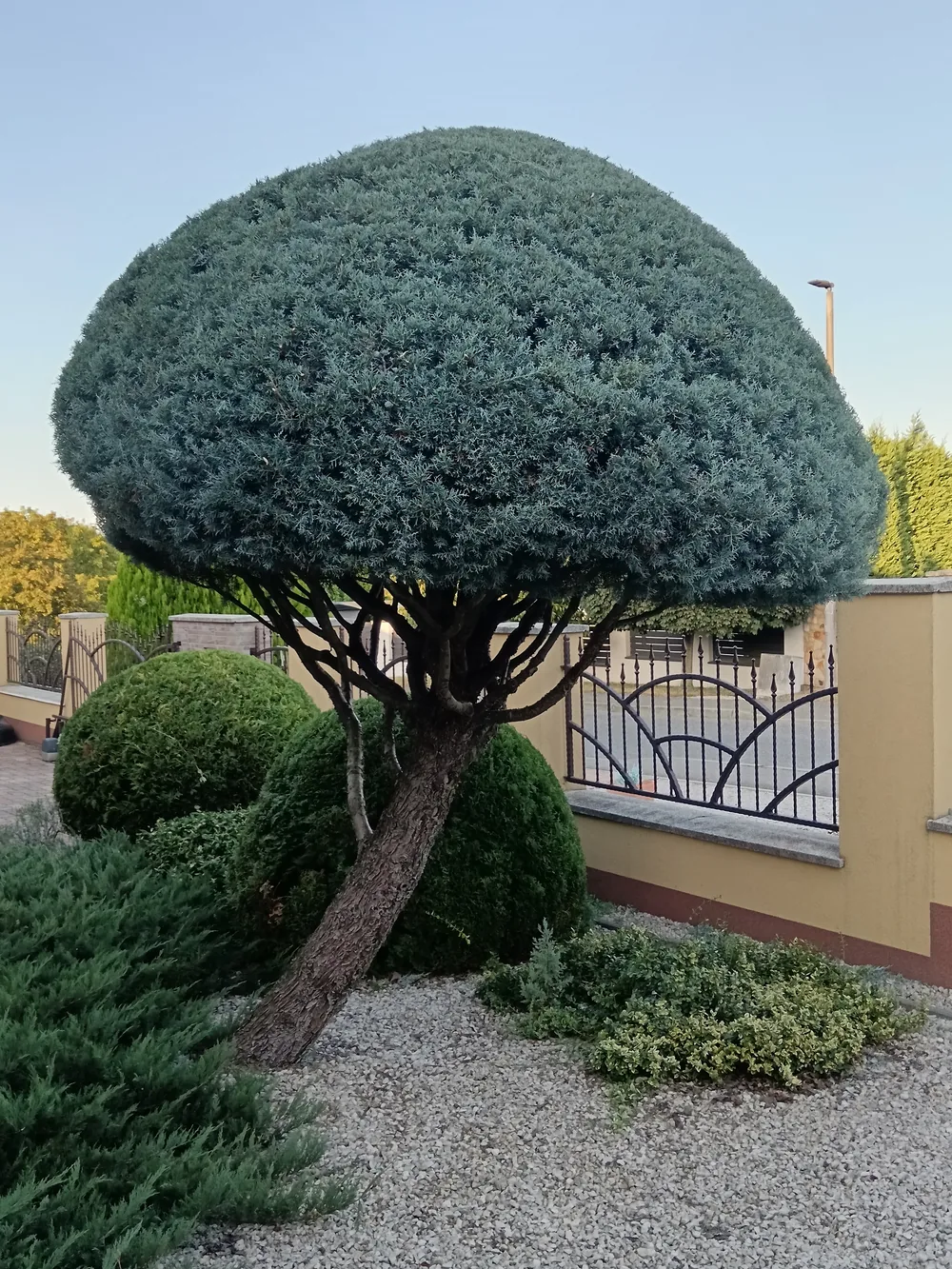 A kész forma másik nézetből