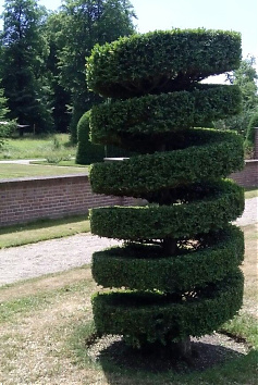 Henger-spirál - Nyugati tujából készült ez az erősen műszaki hangulatú spirál forma. A boróka tarka díszbogár lárvái miatt már csakb keleti tujából, tiszafából, arizóniai és leylandi ciprusból érdemes alakfát készíteni, a fenyőfélék közül.